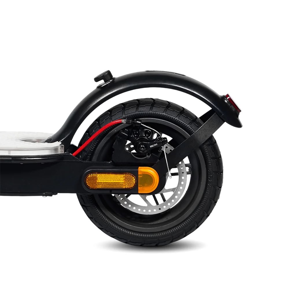 CRONY XM M365 High Configuration Electric Scooter – 250W | Bluetooth Speaker | APP Control